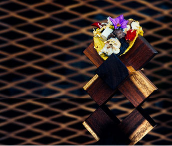 frida-restautant-in-grand-velas-los-cabos-taco-sa79au-the-most-expensive-food-in-the-wordl-goldsalt.